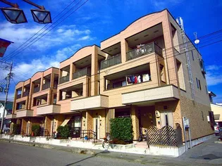 ネオグレイス スエトシの画像