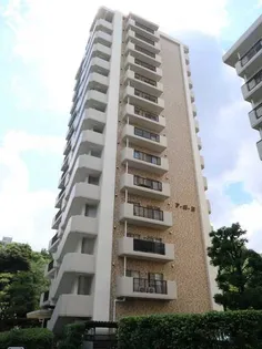 UR光が丘パークタウン 大通り南の画像