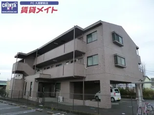 シャルムマスダIIIの画像
