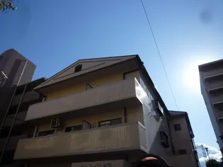 大阪府大阪市住吉区杉本1【マンション】の外観