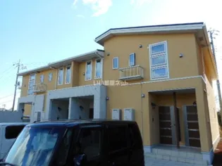 サンフラワーIIの画像