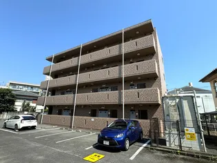 ファーストパーシモンの画像