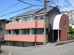 ドルフ17の画像