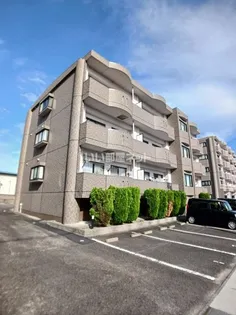 フォレストの画像