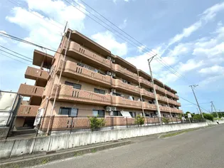 リバーサイド月崎A【2階】の外観