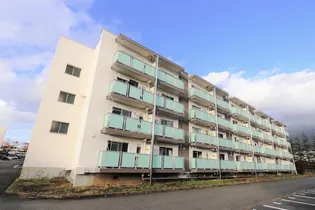 岩手県北上市常盤台1【マンション】の外観