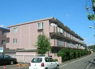 エルグレイスの画像