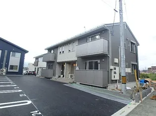 エンソワの画像