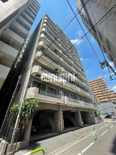 シャルマンの画像