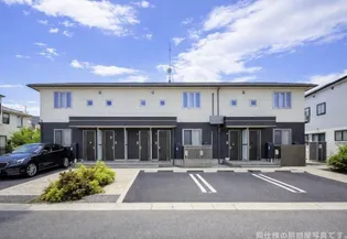 ドリームフォレストの画像