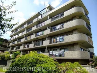 エクセル蓮根の画像