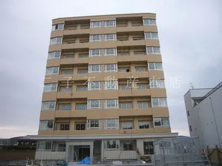 サイドアイの画像