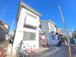 サニーワイズの画像