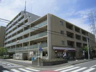 ピエス綱島【5階】の外観