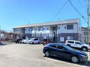 サンフラワーAの画像