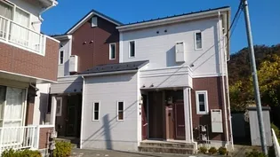 シンシアBの画像