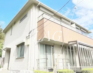 BLANCA BRUNの画像