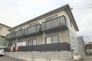 ディアスオオヤケの画像