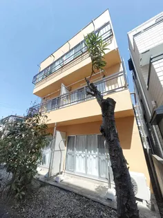 ロイヤルレモンの画像