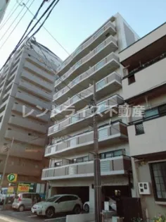 シュケル栄の画像