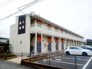 レオネクスト道の画像