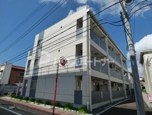 ウィズダムの画像