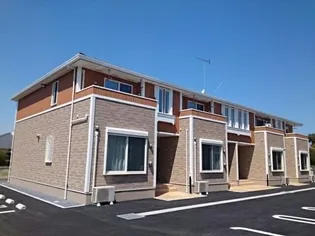 コーネル若月Iの画像