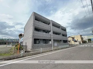 GREEN BOSSの画像