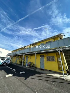 ハイツシュガーの画像