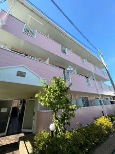 大阪府堺市中区深井中町【マンション】の外観