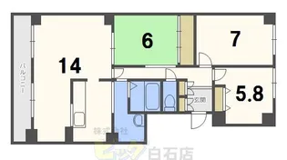 ベルシティ20【9階】の間取り