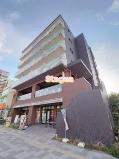 ロイヤルブルームの画像