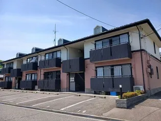 ハイカムール シュマンAの画像