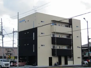 エヌエムトラントキャトフの画像