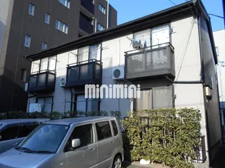 セイスカーマの画像