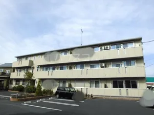 コルティーZの画像