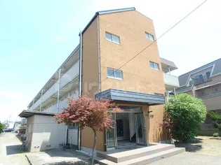 メゾン細田の画像