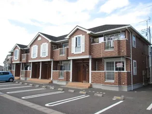 エンペラーCの画像