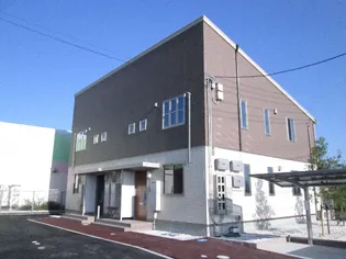 マリ ソル若葉の画像