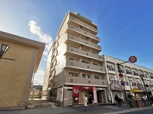 大阪府大阪市平野区流町3【マンション】の外観