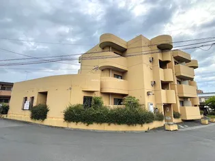 コートアベリアの画像