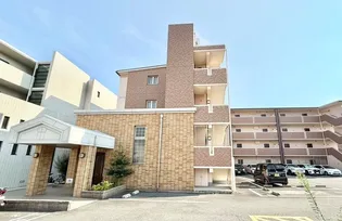 石塚ハイム【2階】の外観