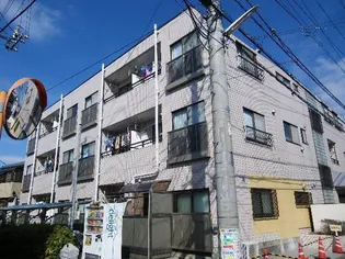 パインニードルの画像