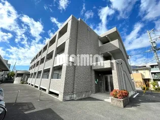 ボー ビスタの画像