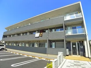 ロータスの画像