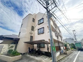 ツバイの画像