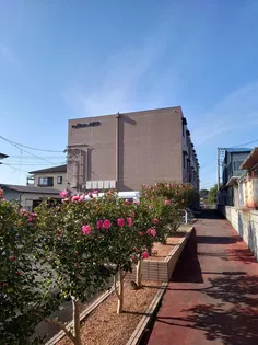 イーフラッツネオ【2階】の外観