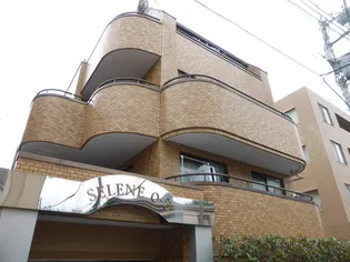 セレーネ田園調布南の画像