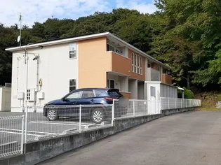 レフィーノの画像