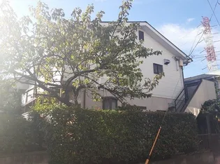 メゾンドグレイス【1階】の外観